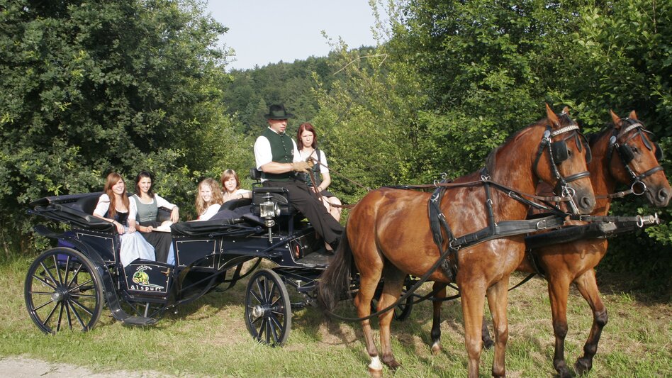 Pölfing - Brunn - Impression #2.5