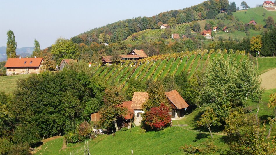 St. Johann im Saggautal - Impression #2.5