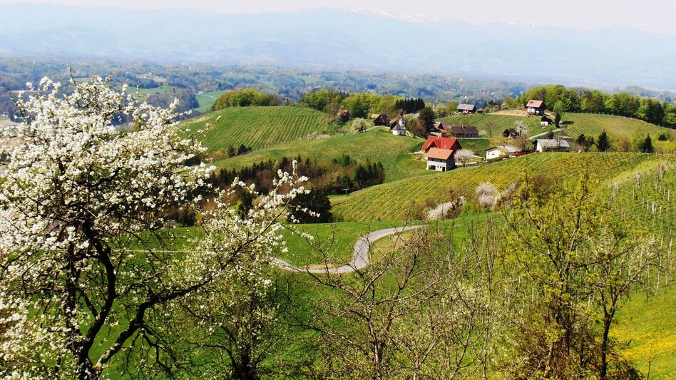 St. Johann im Saggautal - Impression #2.6