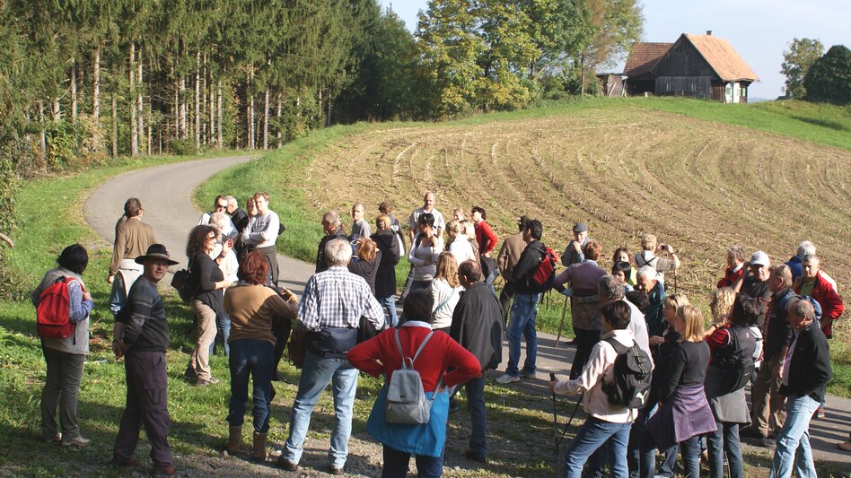 St. Martin im Sulmtal - Impression #2.1