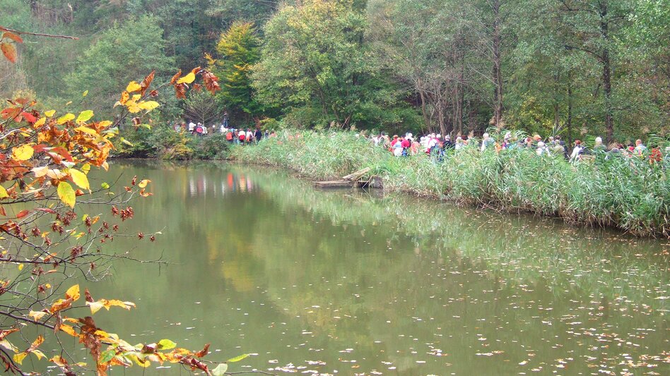 St. Martin im Sulmtal - Impression #2.2