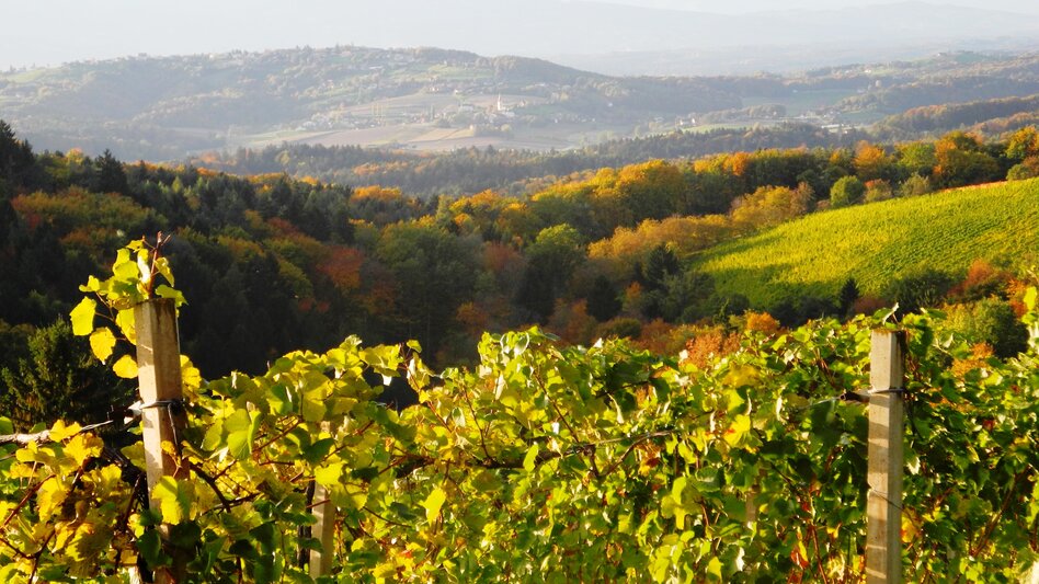 St. Nikolai im Sausal - Impression #2.1