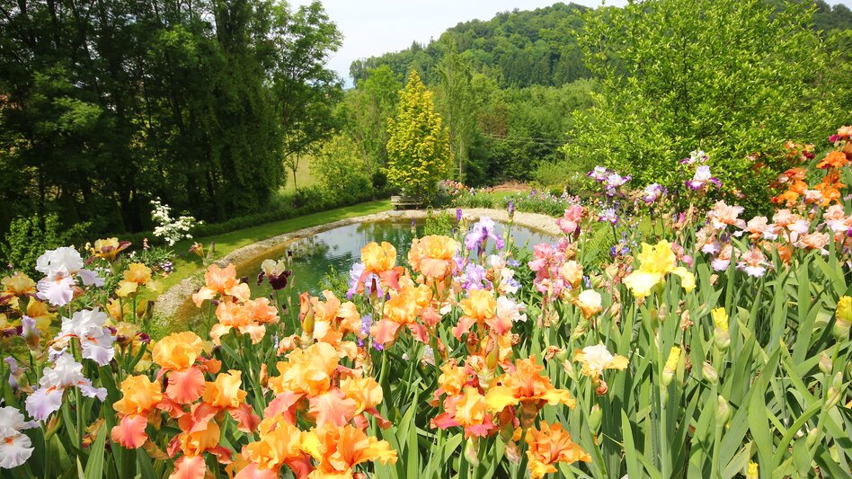 Wildon - Impression #2.1