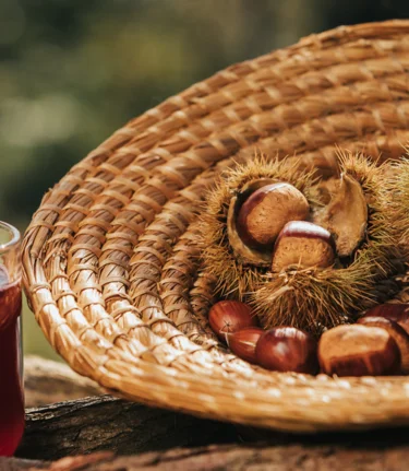 © TV Schilcherland Steiermark | Lupi Spuma