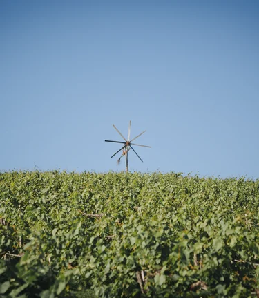 Lupi Spuma Fine Photography GmbH