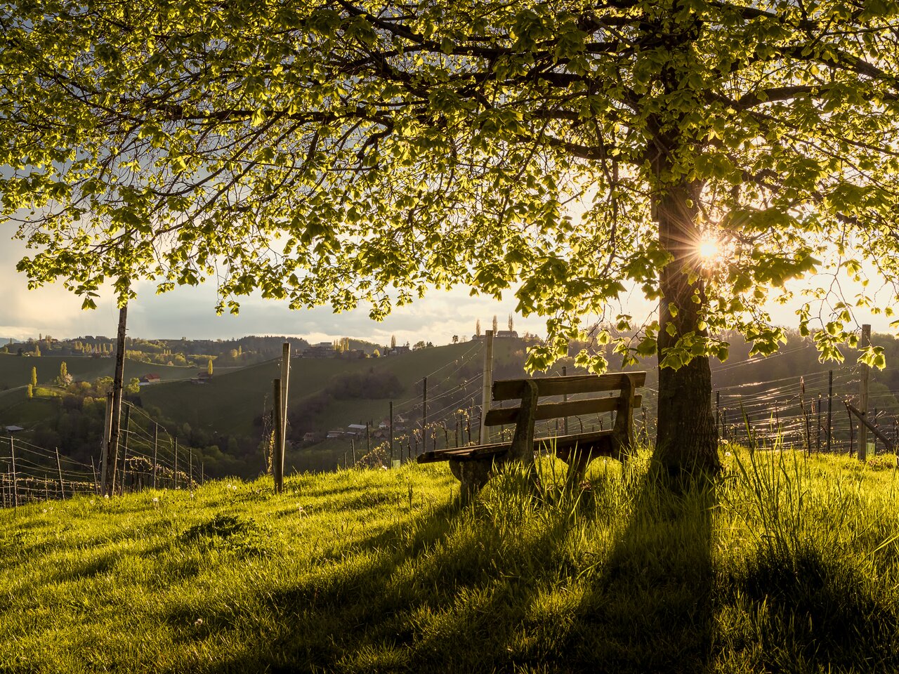 Frühling in der Südsteiermark | © Südsteiermark | Wolfgang Jauk