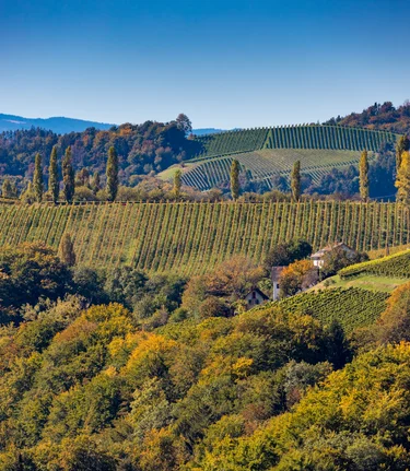 Herbst in der Südsteiermark | © TV Südsteiermark | Harry Schiffer