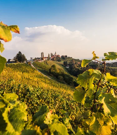 © TVB Südsteiermark | Iris Kavka