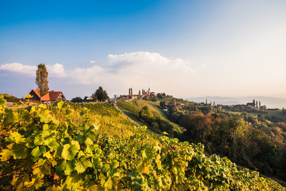 © www.bridelights.com - Hochzeits- & Portraitfotografie