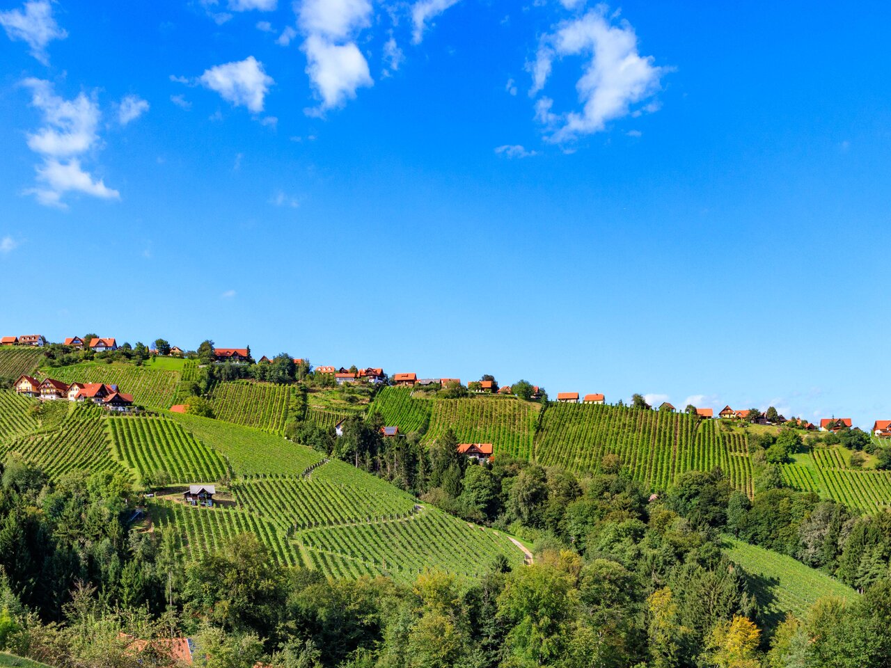 Hochgrail im Schilcherland | © Schilcherland Steiermark | Foto Augenblick - Barbara Zapfl