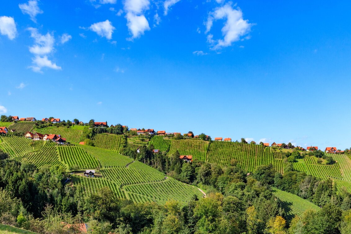 Hochgrail im Schilcherland | © Schilcherland Steiermark | Foto Augenblick - Barbara Zapfl