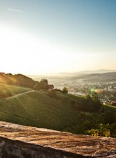 © TVB Südsteiermark | Lupi Spuma