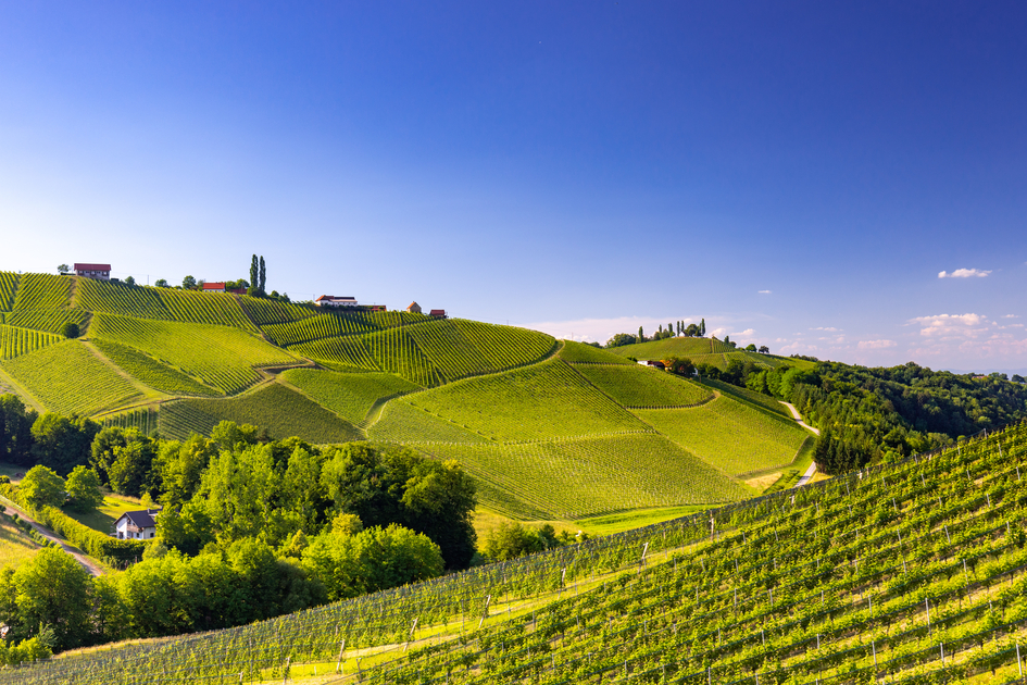 © Harry Schiffer Photodesign | HARRY SCHIFFER PHOTODESIGN