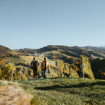 © TV Südsteiermark | /Press/MediaCopyright-autocreated/Lukas Elsneg-autocreated-1651586692-166789