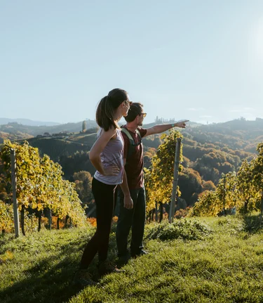 © TV Südsteiermark | Lukas Elsneg 