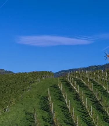 © Christian Freydl, www.fliegendeKamera.net