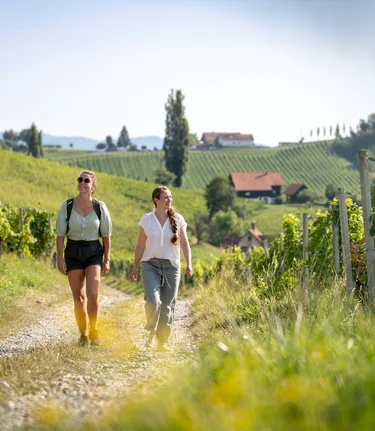 Wandern in der Südsteiermark | © Südsteiermark | Tom Lamm