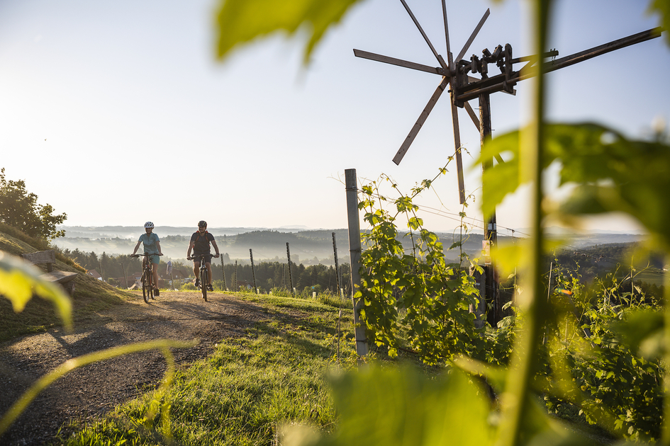 Radtour am Hochgrail mit wunderbarer Panoramaaussicht | © TV Südsteiermark | Velontour