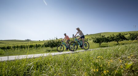 © TV Südsteiermark | Tom Lamm