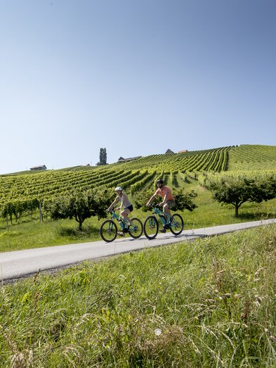 © Tom Lamm | ikarus.cc | Tom Lamm