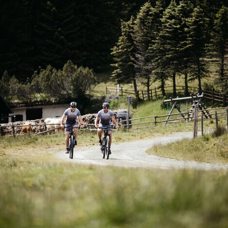 Biken auf der Alm in der Südsteiermark | © TV Südsteiermark | Achromatic Photography