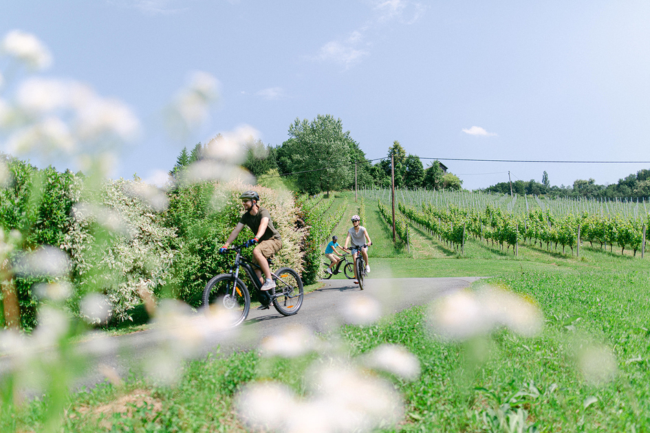 © Ruhri KG | A Twist of Lemon www.atwistoflemon.at