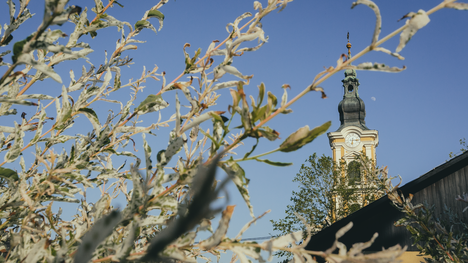 Wies - Impression #2.1