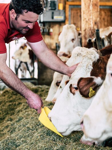 © Webquartier e.U. (Webquartier e.U. (Photographer) - [None]