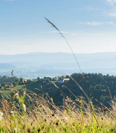 Demmerkogel | © Naturpark Südsteiermark | Webquartier e.U.