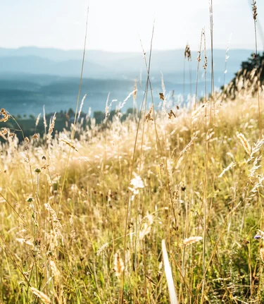 Demmerkogel | © Webquartier e.U. | Webquartier e.U.