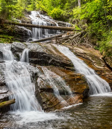 Regine Schoettl
www.pixelworker.com