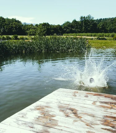 Baden im Naturteich  | © TV Suedsteiermark |  Lupi Spuma