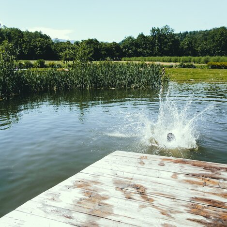 Baden im Naturteich  | © TV Suedsteiermark |  Lupi Spuma
