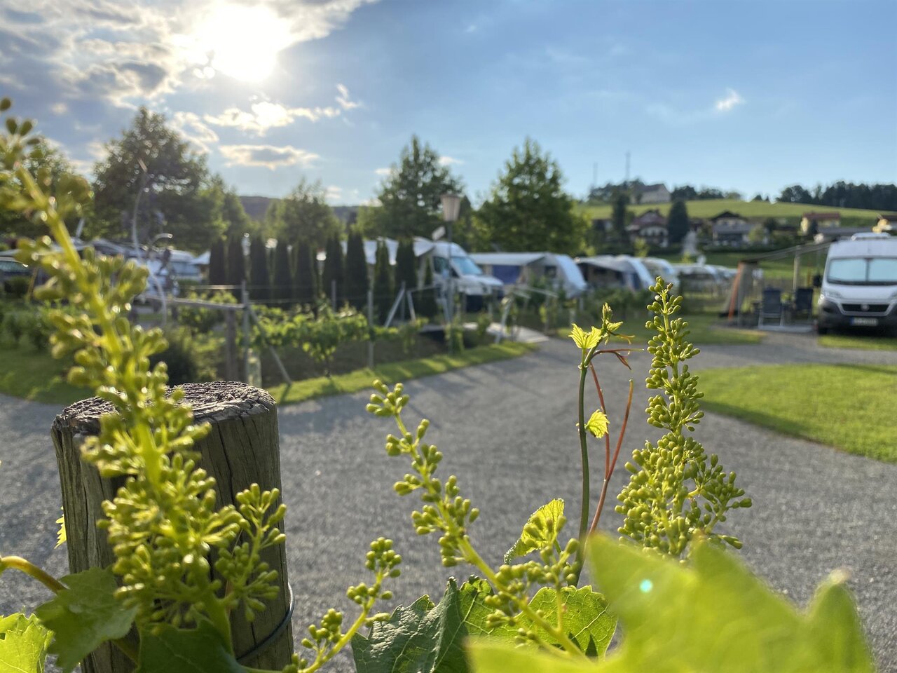 © Ölspur Camping Eibiswald | Ölspur Camping Eibiswald