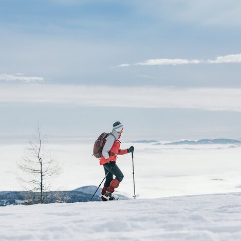 Schneeschuhwandern | © TV Südsteiermark | Lupi Spuma