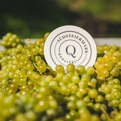 Trauben von höchster Qualität | © RM Südweststeiermark  | webquartier.at