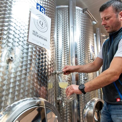 Weingut Trabos | © RM Südweststeiermark  | webquartier.at