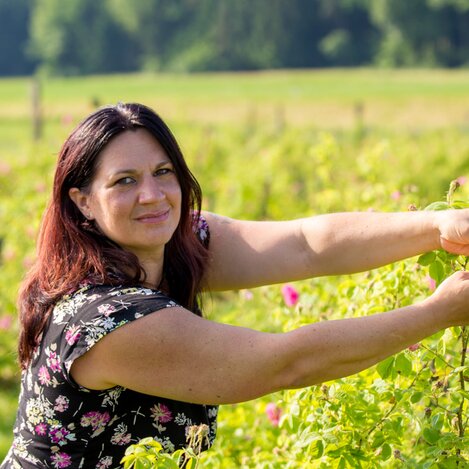 Rosenträume Ulrike Stelzl | © RM Südweststeiermark  | webquartier.at