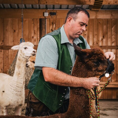 Sulmtal Alpakas | © RM Südweststeiermark  | webquartier.at