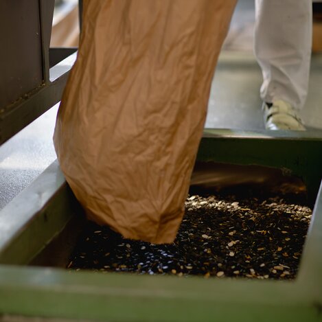 Kürbiskerne in ihrer höchsten Qualität | © Südsteiermark | Achromatic Photograhy