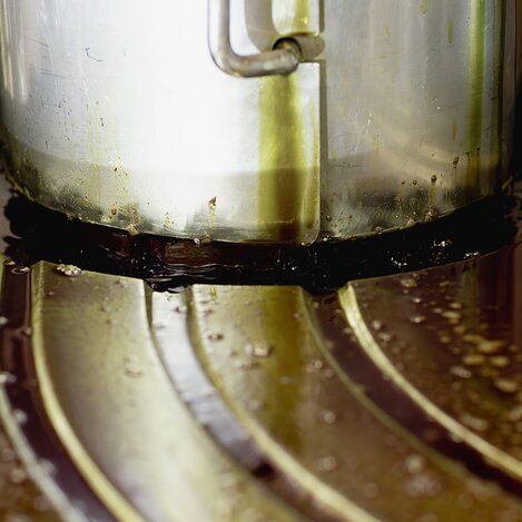 Das grüne Gold der Steiermark | © Südsteiermark | Achromatic Photograhy