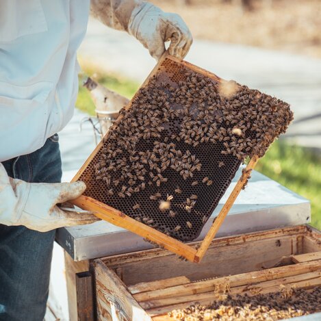 © Südsteiermark | Maximilian Gotthard - KFM Marketing