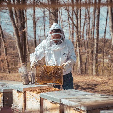 © Südsteiermark | Maximilian Gotthard - KFM Marketing