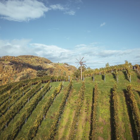 Weingärten Weingut Wohlmuth mit einer Klapotetz | © Südsteiermark | Maximilian Gotthard