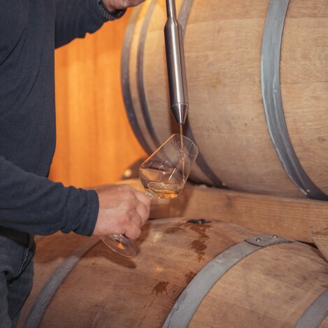 Weinprobe aus dem Fass | © Südsteiermark | Maximilian Gotthard