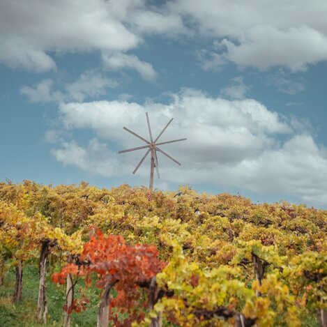 Die traditionelle Klapotetz im Weingarten | © Südsteiermark | Maximilian Gotthard