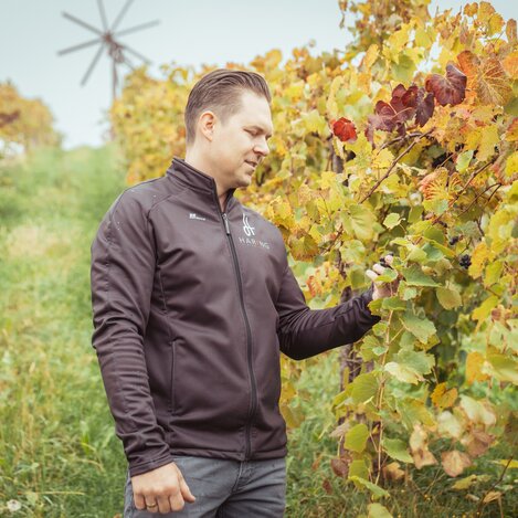 Josef Haring-Haring im Weingarten | © Südsteiermark | Maximilian Gotthard