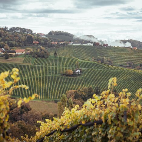 Südsteirische Weinberge | © Südsteiermark | Maximilian Gotthard