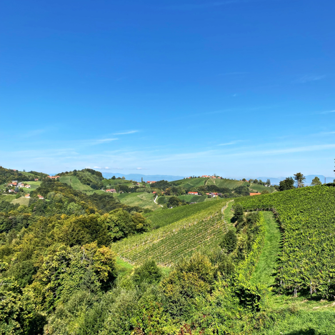 Sausaler Weinstraße  | © Hanna Prumofsky | TV Südsteiermark  | Hanna Prumofsky 