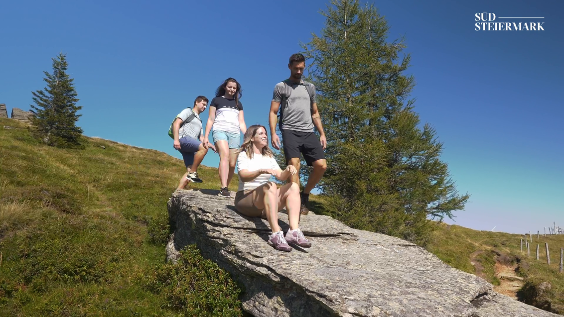 Wandern von der Alm zum Wein
